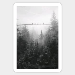 Bridge over the forest Sticker